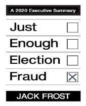 book Just Enough Election Fraud, A 2020 Executive Summary