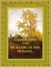 book Не жалею, не зову, не плачу… [Электронный ресурс]