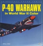 book P-40 Warhawk in World War II Color (Enthusiast Color Series)