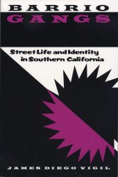 book Barrio Gangs: Street Life and Identity in Southern California