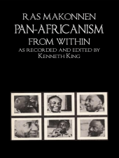 book Pan-Africanism from Within