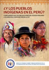 book ¿Y los Pueblos Indígenas en el Perú? Cumplimiento de las obligaciones del Estado peruano a 30 años del Convenio 169 de la OIT