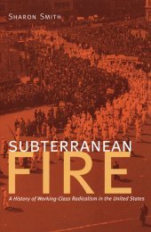 book Subterranean Fire: A History of Working-Class Radicalism in the United States