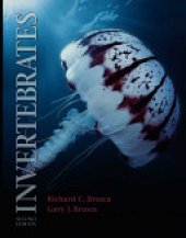 book Invertebrates