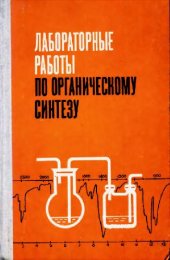 book Лабораторные работы по органическому синтезу