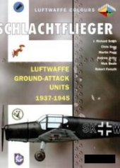 book Schlachtflieger: Luftwaffe Ground-attack Units 1937-1945 (Luftwaffe Colours)