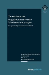 book De rechten van ongedocumenteerde kinderen in Curaçao: een gezamenlijke verantwoordelijkheid