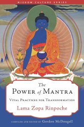 book The Power of Mantra: Vital Practices for Transformation