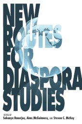 book New Routes for Diaspora Studies