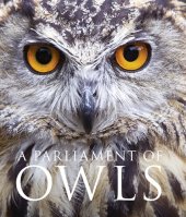 book A Parliament of Owls