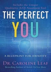 book The Perfect You: A Blueprint for Identity