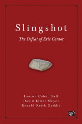 book Slingshot : the defeat of Eric Cantor