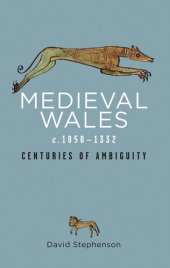 book Medieval Wales c. 1050-1332: Centuries of Ambiguity