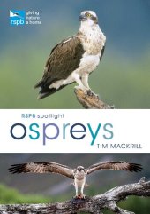 book RSPB Spotlight: Osprey