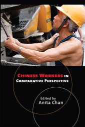 book Chinese Workers in Comparative Perspective