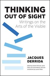 book Thinking Out of Sight: Writings on the Arts of the Visible