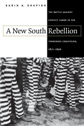 book A New South Rebellion: The Battle against Convict Labor in the Tennessee Coalfields, 1871-1896