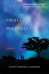 book Small Marvels: Stories