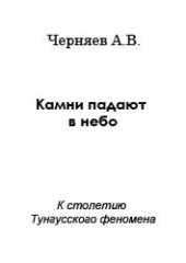 book Камни падают в небо