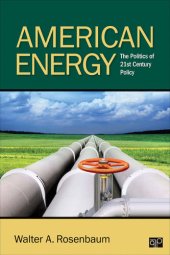 book American Energy: The Politics of 21st Century Policy