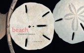 book Beach: A Book of Treasures