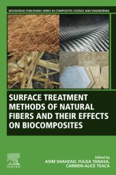 book Surface Treatment Methods of Natural Fibres and their Effects on Biocomposites (Woodhead Publishing Series in Composites Science and Engineering)