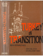 book Turkey in Transition: New Perspectives