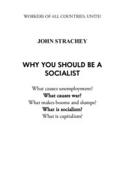 book Why You Should Be a Socialist