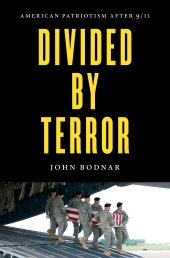 book Divided by Terror: American Patriotism after 9/11