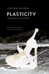 book Plasticity: The Promise of Explosion