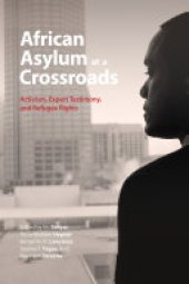 book African Asylum at a Crossroads: Activism, Expert Testimony, and Refugee Rights