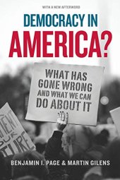 book Democracy in America? What Has Gone Wrong and What We Can Do About It