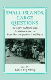 book Small Islands, Large Questions: Society, Culture and Resistance in the Post-Emancipation Caribbean