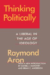 book Thinking Politically: A Liberal in the Age of Ideology