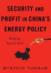 book Security and Profit in China's Energy Policy: Hedging Against Risk