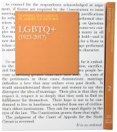 book Defining Documents in American History: LGBTQ+