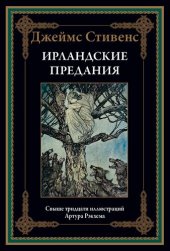 book Ирландские предания