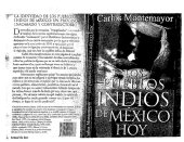 book Los pueblos indios de México hoy. La identidad de los pueblos indios de México: un proceso inacabado y contradictorio