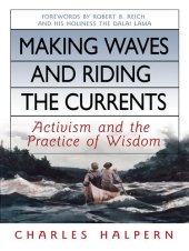 book Making Waves and Riding the Currents: Activism and the Practice of Wisdom