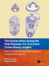 book The Human Brain during the First Trimester 3.5- to 4.5-mm Crown-Rump Lengths