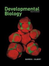 book Developmental Biology