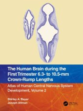 book The Human Brain during the First Trimester 6.3- to 10.5-mm Crown-Rump Lengths