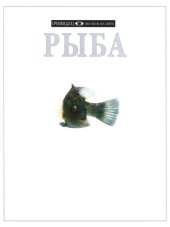 book Рыба