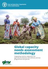 book Global Capacity Needs Assessment Methodology: Integrating nutrition objectives into agricultural extension and advisory services programmes and policies