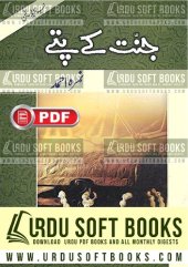 book جنت کے پتے / Jannat Kay Pattay