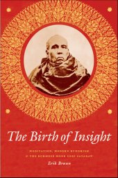 book The Birth of Insight: Meditation, Modern Buddhism, and the Burmese Monk Ledi Sayadaw (Buddhism and Modernity)