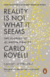 book Reality Is Not What It Seems: The Journey to Quantum Gravity