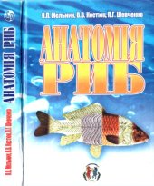 book Анатомiя риб