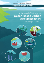 book A Research Strategy for Ocean-based Carbon Dioxide Removal and Sequestration