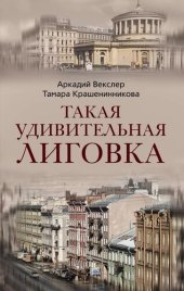 book Такая удивительная Лиговка